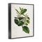 Stupell Industries Forest Nature Botanical Framed Giclee Wall Art Design by Tina Higgins Designs, Inc.